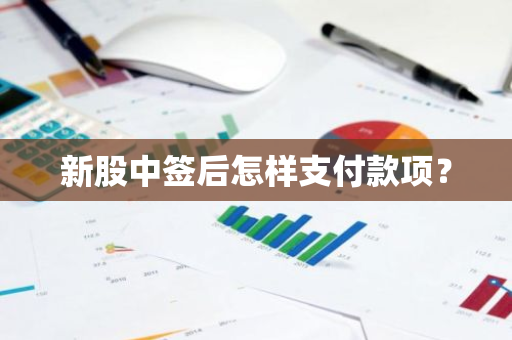 新股中签后怎样支付款项？