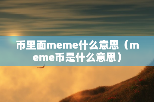 币里面meme什么意思（meme币是什么意思）