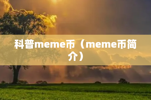 科普meme币（meme币简介）