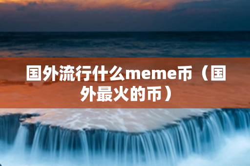 国外流行什么meme币（国外最火的币）