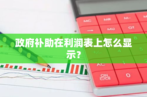 政府补助在利润表上怎么显示？