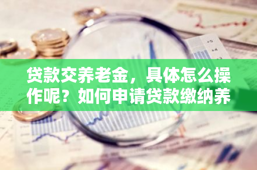 贷款交养老金，具体怎么操作呢？如何申请贷款缴纳养老金？