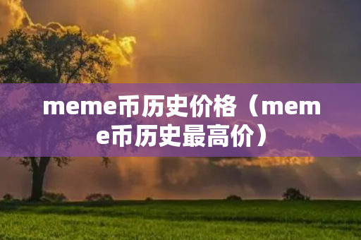 meme币历史价格（meme币历史最高价）