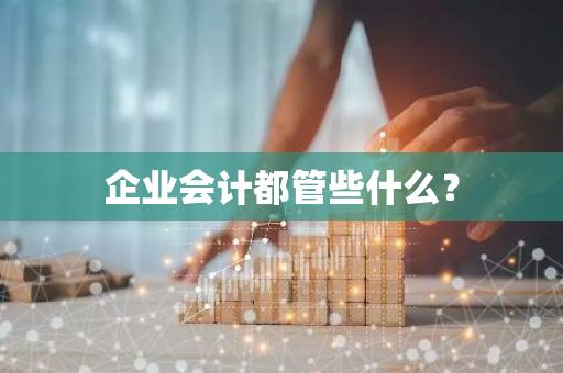 企业会计都管些什么？