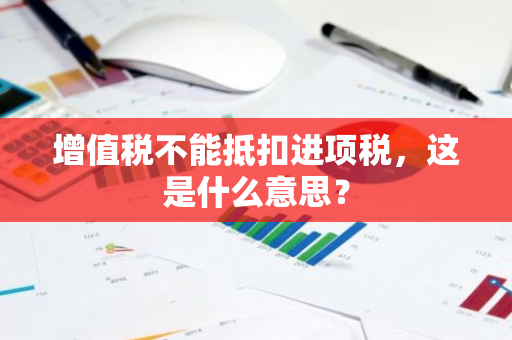 增值税不能抵扣进项税，这是什么意思？