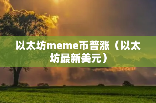 以太坊meme币普涨（以太坊最新美元）