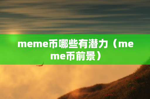 meme币哪些有潜力（meme币前景）