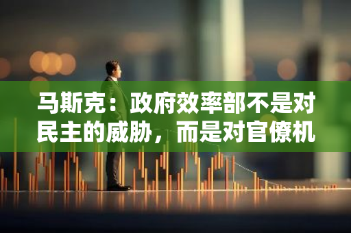 马斯克：政府效率部不是对民主的威胁，而是对官僚机构的威胁