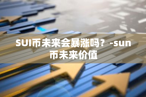 SUI币未来会暴涨吗？-sun币未来价值