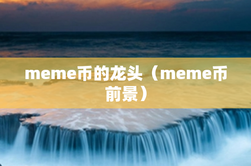 meme币的龙头（meme币前景）