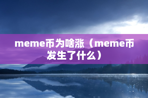 meme币为啥涨（meme币发生了什么）