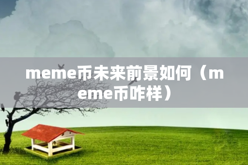 meme币未来前景如何（meme币咋样）