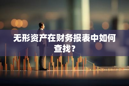 无形资产在财务报表中如何查找？