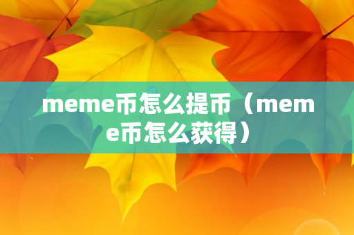 meme币怎么提币（meme币怎么获得）