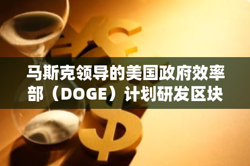 马斯克领导的美国政府效率部（DOGE）计划研发区块链选举系统“eVote”，以提升选举效率