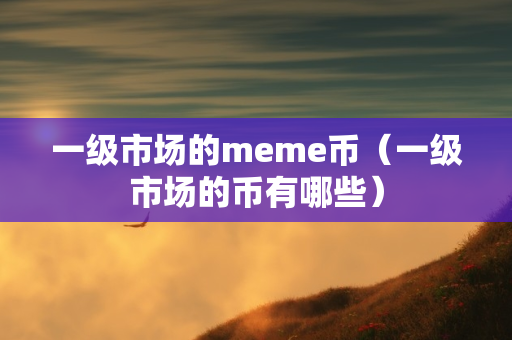 一级市场的meme币（一级市场的币有哪些）