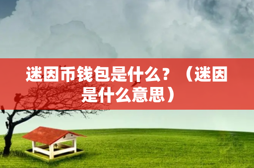 迷因币钱包是什么？（迷因是什么意思）