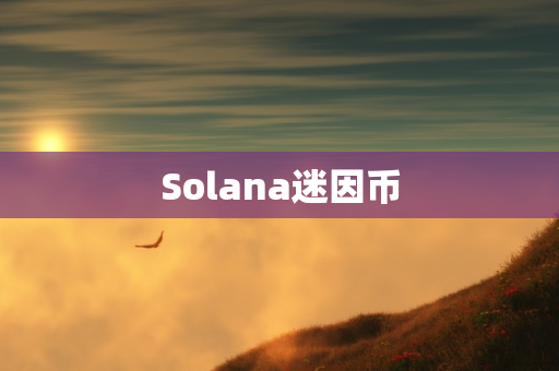 Solana迷因币