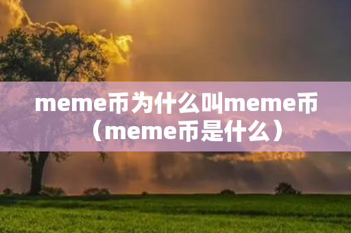 meme币为什么叫meme币（meme币是什么）