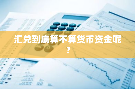 汇兑到底算不算货币资金呢？