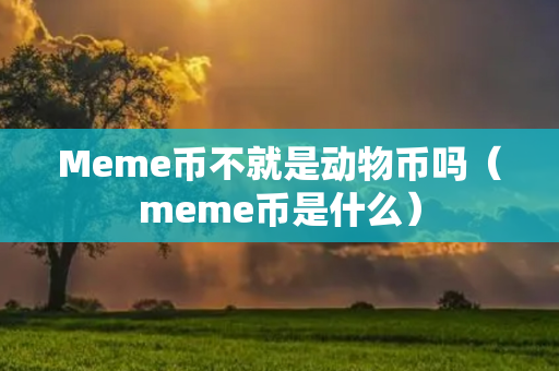 Meme币不就是动物币吗（meme币是什么）