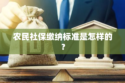 农民社保缴纳标准是怎样的？