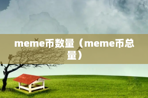 meme币数量（meme币总量）