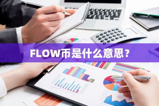 FLOW币是什么意思？