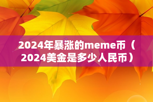 2024年暴涨的meme币（2024美金是多少人民币）