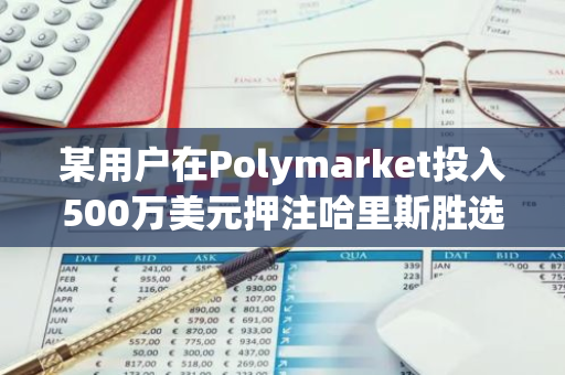 某用户在Polymarket投入500万美元押注哈里斯胜选，展现对政治市场的高度信心