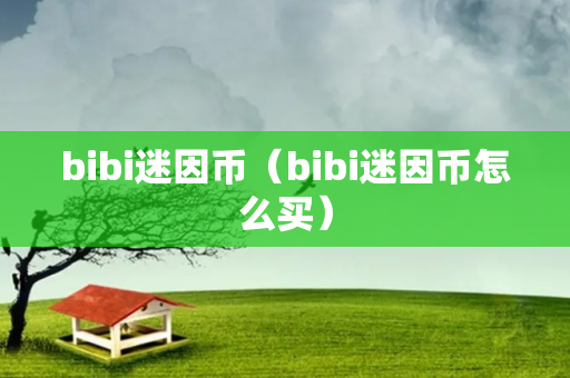 bibi迷因币（bibi迷因币怎么买）