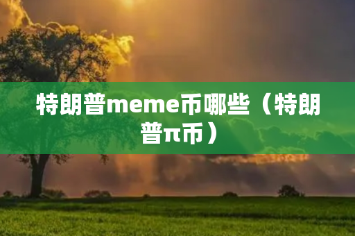 特朗普meme币哪些（特朗普π币）