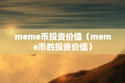 meme币投资价值（meme币的投资价值）