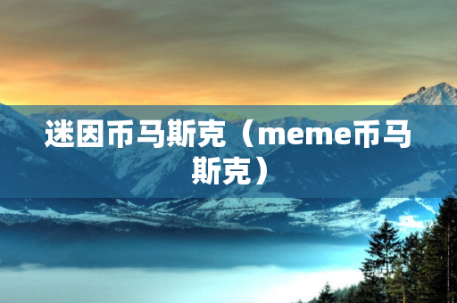 迷因币马斯克（meme币马斯克）