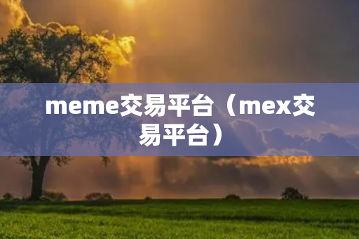 meme交易平台（mex交易平台）