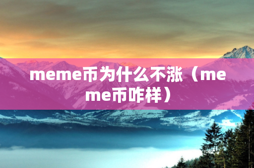 meme币为什么不涨（meme币咋样）