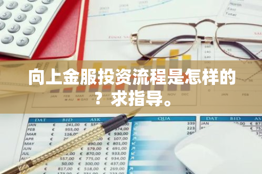 向上金服投资流程是怎样的？求指导。