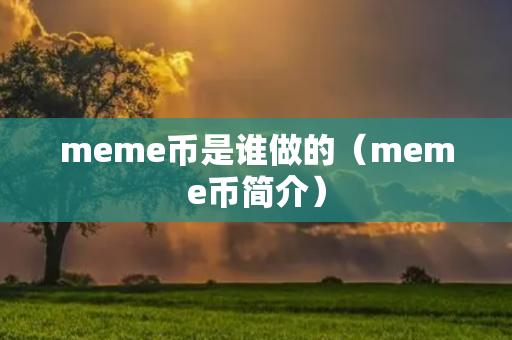 meme币是谁做的（meme币简介）