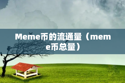 Meme币的流通量（meme币总量）