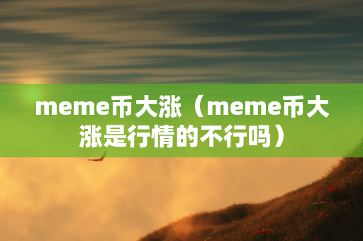 meme币大涨（meme币大涨是行情的不行吗）