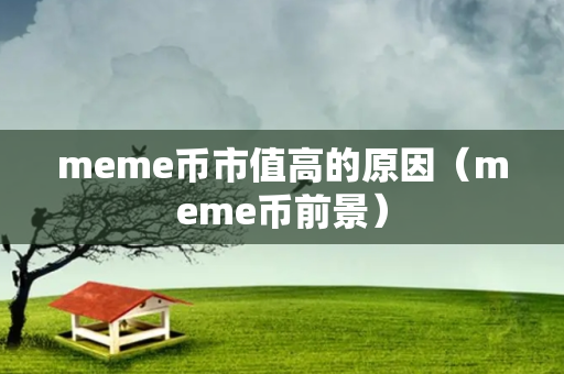 meme币市值高的原因（meme币前景）