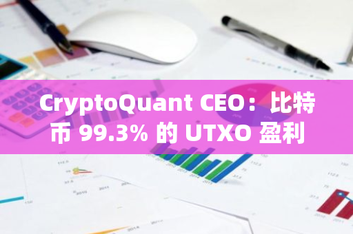 CryptoQuant CEO：比特币 99.3% 的 UTXO 盈利