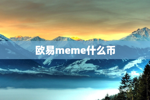 欧易meme什么币