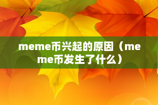 meme币兴起的原因（meme币发生了什么）