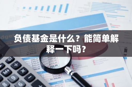 负债基金是什么？能简单解释一下吗？