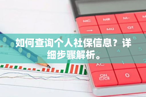 如何查询个人社保信息？详细步骤解析。