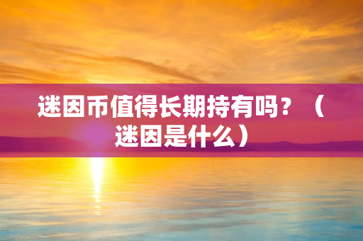 迷因币值得长期持有吗？（迷因是什么）