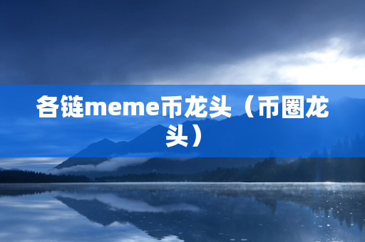 各链meme币龙头（币圈龙头）