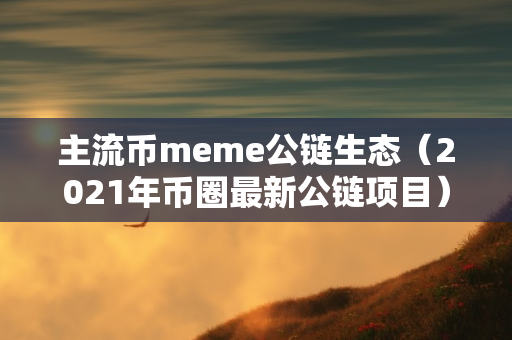 主流币meme公链生态（2021年币圈最新公链项目）