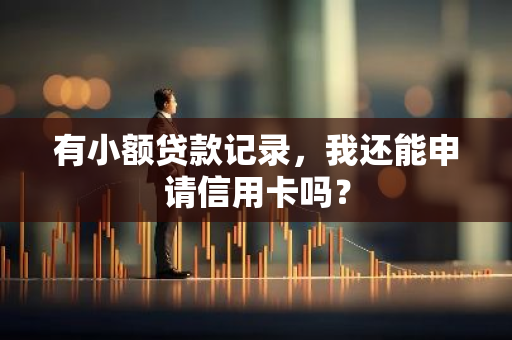 有小额贷款记录，我还能申请信用卡吗？